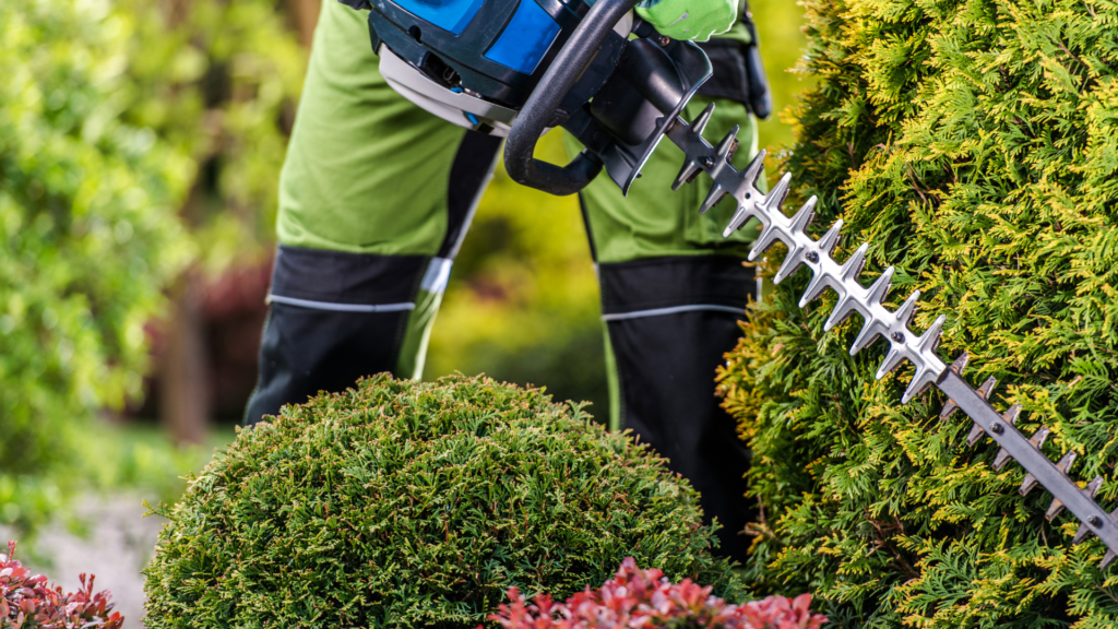 Hedge Trimming and Maintenance_